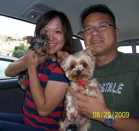 past pup pic