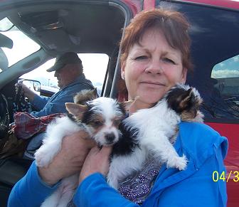 past pup pic